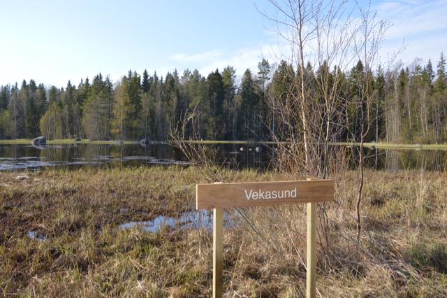 Vekasund är den första av sjöarna man kommer till från startplatsen vid sportplanen.